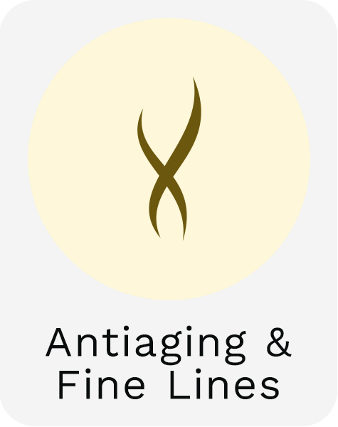 Antiaging