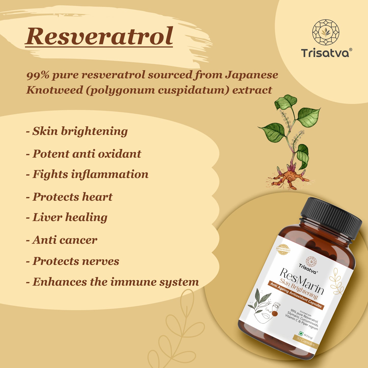 Trisatva ResMarin Capsules | Resveratrol 500mg, Silymarin, Turmeric, Black Pepper, Vitamin C