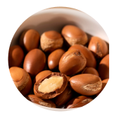 Argan Oil