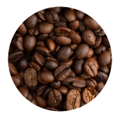 Coffee Seed