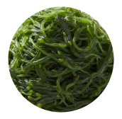Mozuku Seaweed/Algae